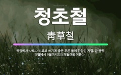 🌟청초철: 목장에서 사료나 비료로 쓰기에 좋은 푸른 풀이 한창인 계절. 곧 음력 5월에서 9월까지의 5개월... - 표준국어대사전