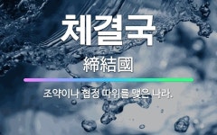🌟체결국: 조약이나 협정 따위를 맺은 나라. - 표준국어대사전