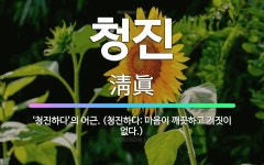 🌟청진: ‘청진하다’의 어근. (청진하다: 마음이 깨끗하고 거짓이 없다.) - 표준국어대사전