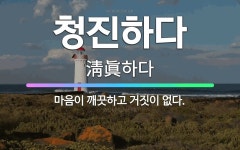 🌟청진하다: 마음이 깨끗하고 거짓이 없다. - 표준국어대사전