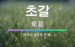 🌟초갈: 파초의 섬유로 짠 베. - 표준국어대사전