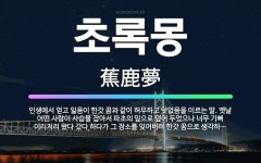 🌟초록몽: 인생에서 얻고 잃음이 한갓 꿈과 같이 허무하고 덧없음을 이르는 말. 옛날 어떤 사람이 사슴을 잡... - 표준국어대사전