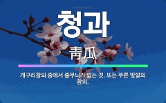 과만청과 | 🌟청과: 개구리참외 중에서 줄무늬가 없는 것. 또는 푸른 빛깔의 참외. - 표준국어대사전