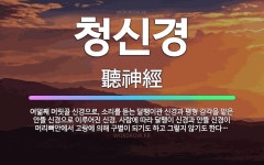 🌟청신경: 여덟째 머릿골 신경으로, 소리를 듣는 달팽이관 신경과 평형 감각을 맡은 안뜰 신경으로 이루어진 ... - 표준국어대사전