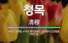 🌟청목: 맑고 온화함., 주로 편지글에서, 상대편의 건강함을 이르는 말. - 표준국어대사전