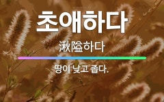 🌟초애하다: 땅이 낮고 좁다. - 표준국어대사전