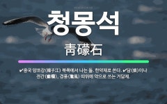 🌟청몽석: 중국 양쯔강(揚子江) 북쪽에서 나는 돌. 한약재로 쓴다., 담(痰)이나 전간(癲癇), 경풍(驚風... - 표준국어대사전