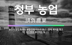🌟청부 농업: 농민이 상업 회사나 농업 단체 따위와 생산ㆍ판매 계약을 맺고 농산물을 생산하는 일. - 표준국어대사전
