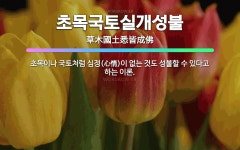 🌟초목국토실개성불: 초목이나 국토처럼 심정(心情)이 없는 것도 성불할 수 있다고 하는 이론. - 표준국어대사전