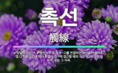 🌟촉선: 맞닿아 있는 선., 곡선상의 두 점 PㆍQ를 연결하는 직선을 가정하고, 점 Q가 이 곡선에 따라 ... - 표준국어대사전