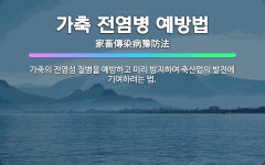 🌟가축 전염병 예방법: 가축의 전염성 질병을 예방하고 미리 방지하여 축산업의 발전에 기여하려는 법. - 표준국어대사전