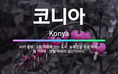 🌟코니아: 터키 중부, 고원 지대에 있는 도시. 농목업을 주로 하며, 밀ㆍ야채ㆍ양털 따위의 집산지이다. - 표준국어대사전