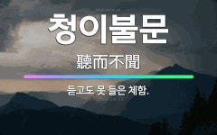 🌟청이불문: 듣고도 못 들은 체함. - 표준국어대사전