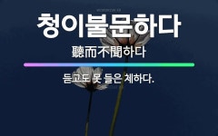 🌟청이불문하다: 듣고도 못 들은 체하다. - 표준국어대사전