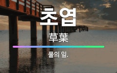 🌟초엽: 풀의 잎. - 표준국어대사전