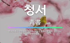 🌟청서: 영국 의회나 추밀원의 보고서. 표지가 청색으로 되어 있는 데서 유래하였다. - 표준국어대사전