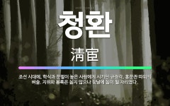 🌟청환: 조선 시대에, 학식과 문벌이 높은 사람에게 시키던 규장각, 홍문관 따위의 벼슬. 지위와 봉록은 높... - 표준국어대사전