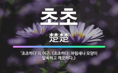🌟초초: ‘초초하다’의 어근. (초초하다: 차림새나 모양이 말쑥하고 깨끗하다.) - 표준국어대사전