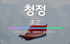 🌟청정: ‘청정하다’의 어근. (청정하다: 맑고 바르다.) - 표준국어대사전