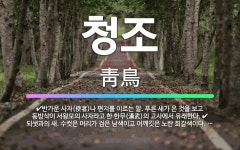 🌟청조: 반가운 사자(使者)나 편지를 이르는 말. 푸른 새가 온 것을 보고 동방삭이 서왕모의 사자라고 한 ... - 표준국어대사전