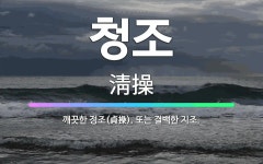 🌟청조: 깨끗한 정조(貞操). 또는 결백한 지조. - 표준국어대사전