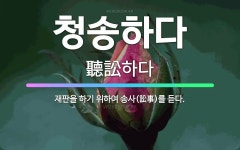 🌟청송하다: 재판을 하기 위하여 송사(訟事)를 듣다. - 표준국어대사전