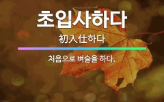 🌟초입사하다: 처음으로 벼슬을 하다. - 표준국어대사전