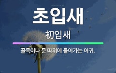 🌟초입새: 골목이나 문 따위에 들어가는 어귀. - 표준국어대사전