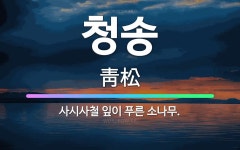 🌟청송: 사시사철 잎이 푸른 소나무. - 표준국어대사전