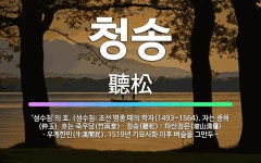 🌟청송: ‘성수침’의 호. (성수침: 조선 명종 때의 학자(1493~1564). 자는 중옥(仲玉). 호는 ... - 표준국어대사전