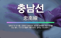 🌟충남선: ‘장항선’의 전 이름. (장항선: 충청남도 천안과 전라북도 익산 사이를 잇는 철도. 1931년 ... - 표준국어대사전
