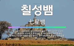 🌟칠성뱀: → 칠성장어. (칠성장어: 칠성장어과의 물고기. 몸의 길이는 63cm 정도로 뱀장어와 비슷하게 ... - 표준국어대사전