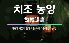 🌟치조 농양: 이촉에 세균이 옮아 이틀 속에 고름이 생기는 병. - 표준국어대사전