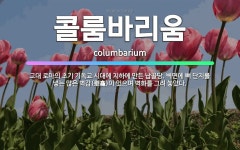 🌟콜룸바리움: 고대 로마의 초기 기독교 시대에 지하에 만든 납골당. 벽면에 뼈 단지를 넣는 많은 벽감(壁龕... - 표준국어대사전