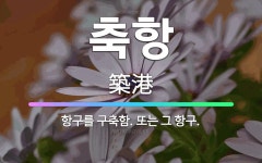 🌟축항: 항구를 구축함. 또는 그 항구. - 표준국어대사전