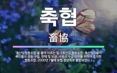 🌟축협: ‘축산업협동조합’을 줄여 이르는 말. (축산업 협동조합: 축산업자들이 축산물의 공동 구입, 판매 ... - 표준국어대사전