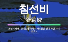 🌟침선비: 조선 시대에, 상의원에 속하여 바느질을 맡아 하던 기녀(妓女). - 표준국어대사전