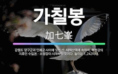 🌟가칠봉: 강원도 양구군과 인제군 사이에 있는 산. 태백산맥에 속하며, 북한강의 지류인 수입천ㆍ소양강이 시... - 표준국어대사전