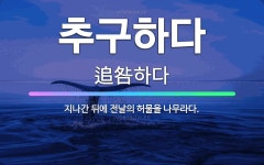 🌟추구하다: 지나간 뒤에 전날의 허물을 나무라다. - 표준국어대사전