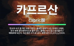 🌟카프르산: 탄소의 수가 열 개인 포화 지방산. 불쾌한 냄새가 나는 무색의 고체로, 유지 속에 글리세라이드... - 표준국어대사전