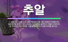 🌟추알: → 쇠똥구리. (쇠똥구리: 쇠똥구릿과의 곤충. 몸은 편편한 타원형이며, 검은색으로 광택이 있다. ... - 표준국어대사전