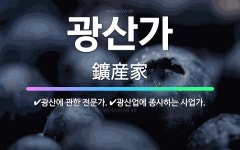🌟광산가: 광산에 관한 전문가., 광산업에 종사하는 사업가. - 표준국어대사전