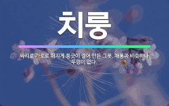 🌟치룽: 싸리로 가로로 퍼지게 둥긋이 결어 만든 그릇. 채롱과 비슷하나 뚜껑이 없다. - 표준국어대사전
