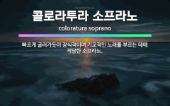 🌟콜로라투라 소프라노: 빠르게 굴러가듯이 장식적이며 기교적인 노래를 부르는 데에 적당한 소프라노. - 표준국어대사전