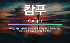 🌟캄푸: 브라질고원 가운데에 펼쳐진 사바나 초원 지대. 목축과 커피, 목화, 옥수수 따위의 재배를 주로 한다. - 표준국어대사전