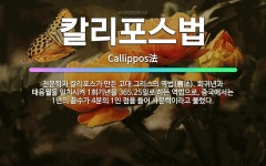🌟칼리포스법: 천문학자 칼리포스가 만든 고대 그리스의 역법(曆法). 회귀년과 태음월을 일치시켜 1회기년을 ... - 표준국어대사전