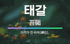 🌟태갈: 이끼가 낀 비석(碑石). - 표준국어대사전
