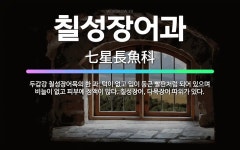 🌟칠성장어과: 두갑강 칠성장어목의 한 과. 턱이 없고 입이 둥근 빨판처럼 되어 있으며 비늘이 없고 피부에 ... - 표준국어대사전