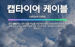 🌟캡타이어 케이블: 동선(銅線)에 고무나 염화 비닐을 씌운 여러 개의 전선을 한데 모아서 그 위에 다시 고... - 표준국어대사전