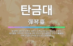 🌟탄금대: 충청북도 충주시 서북부 대문산(大門山)에 있는 명승지. 우륵이 제자들을 가르치며 가야금을 타던 ... - 표준국어대사전